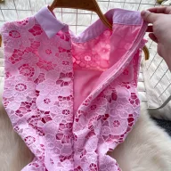Pink Lace A Line Dress for Women Sleeveless Hollow Out Elegant Collar Perfect for Parties and Special Occasions
