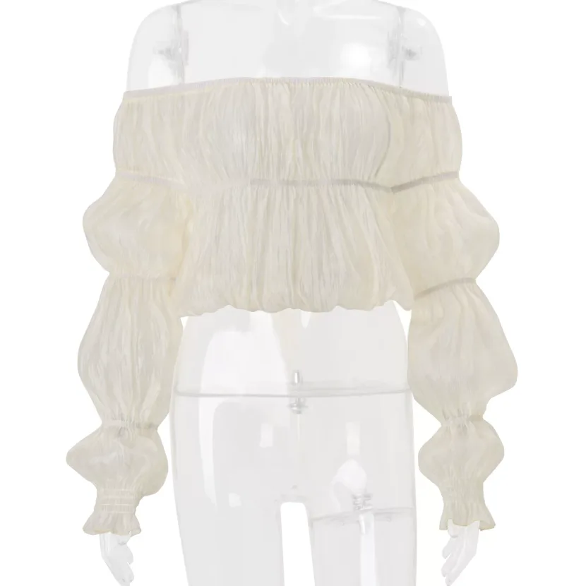 Off Shoulder Chiffon Top Sheer Design Hollow Out Long Sleeve Fashionable for Fall Wholesale Available